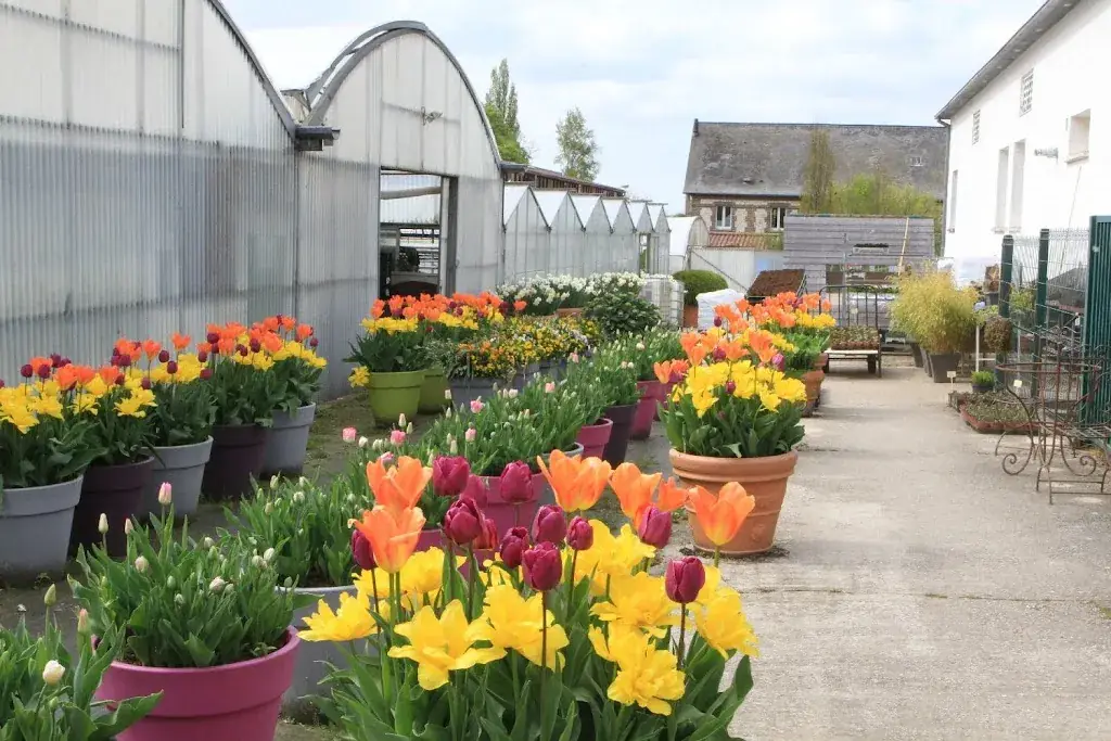 Lycée St Joseph - Château de Mesnières : Forêt, Horticulture, Services, Hôtellerie_Mesnières-en-Bray_slider_image_2