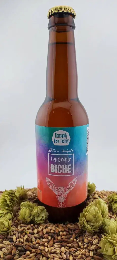 Menu_Normandy Beer Factory_Mouen_image_1