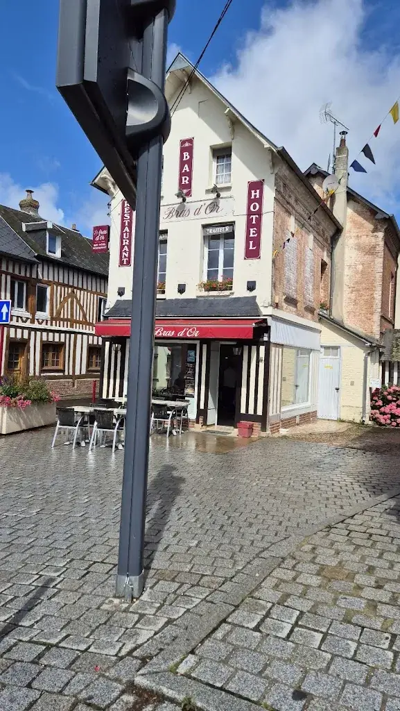 Annie Richard_Le Bras d'Or_Moyaux_review