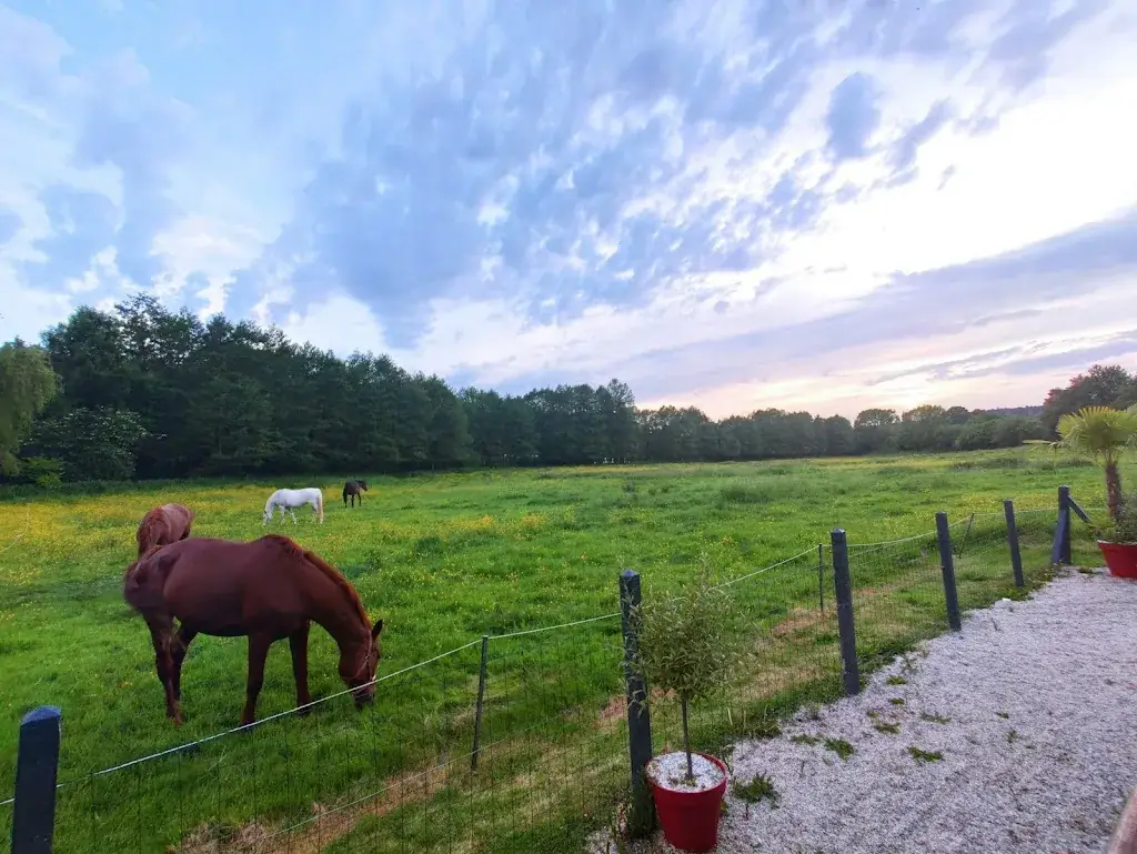 Gert Merisalu_Restaurant de la Paquine_Ouilly-du-Houley_review