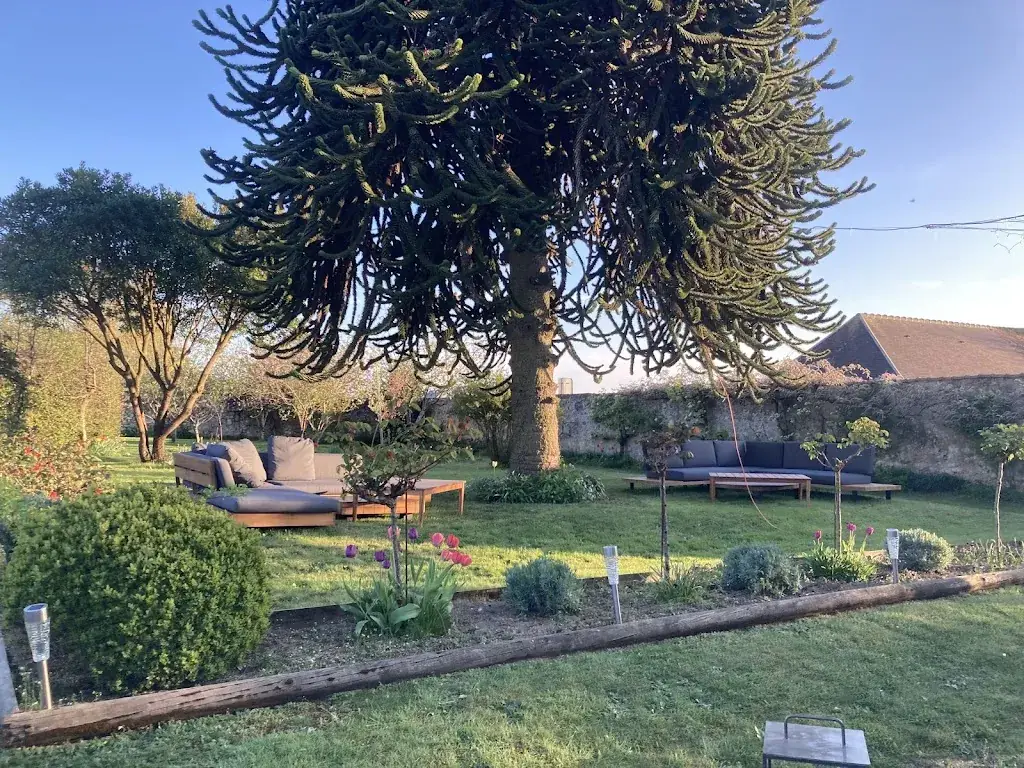 Mégane_Maison Marionnaud_Mortagne-au-Perche_review