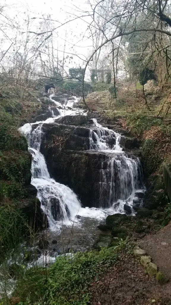 Nelson Rose_Les closeaux phil_50140_review