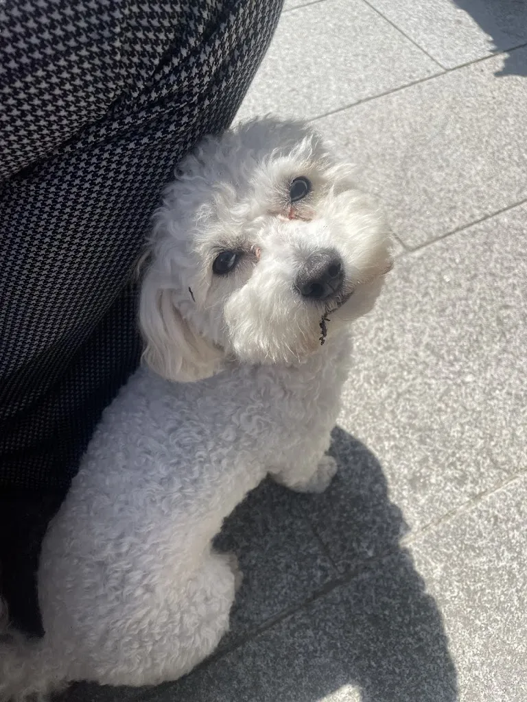 Marie_Straw and Beach_Périers_review