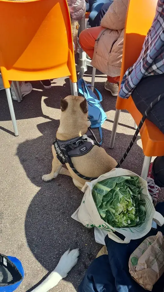 Johnny Lynch_La Maree_Pirou_review