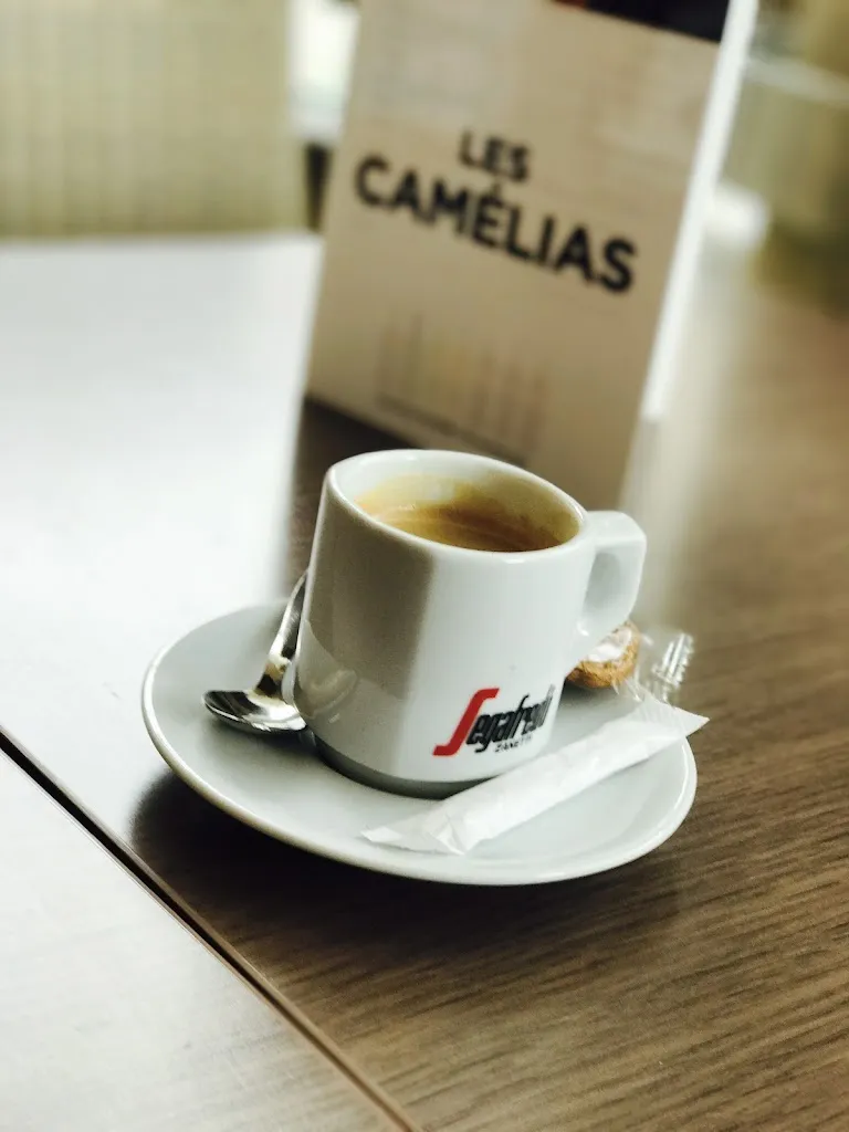 Menü_Les Camélias - Brasserie & Café_Tourville-la-Rivière_Bild_9