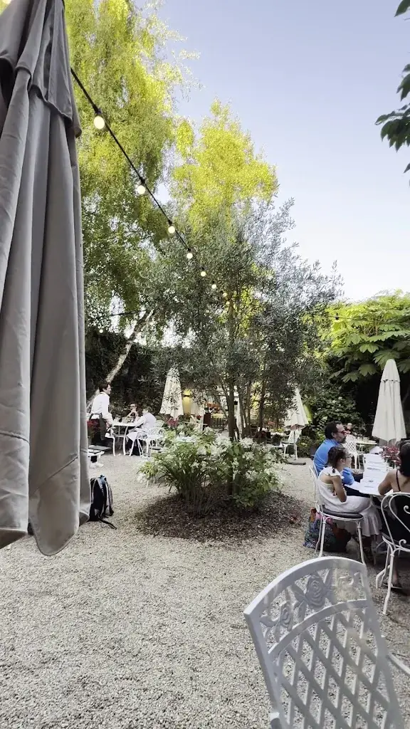 Björn Johansson_Le Petit Jardin_Commes_review