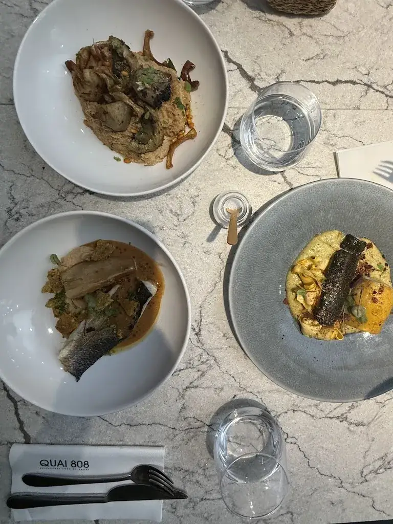 Eliza Fara_QUAI 808_Guilherand-Granges_review