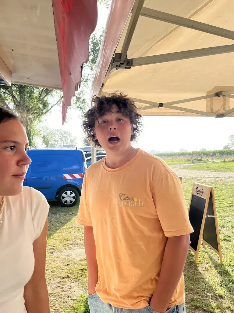 Joshua van der Lee_Streetfood de la baie_Beauvoir_review