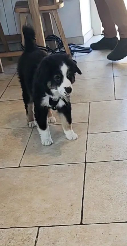 Kitchen Insider_En Gare_Perche_avis