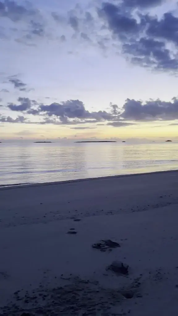 Jenni Davies_Shoreline Beach Resort_Bahamas_avis