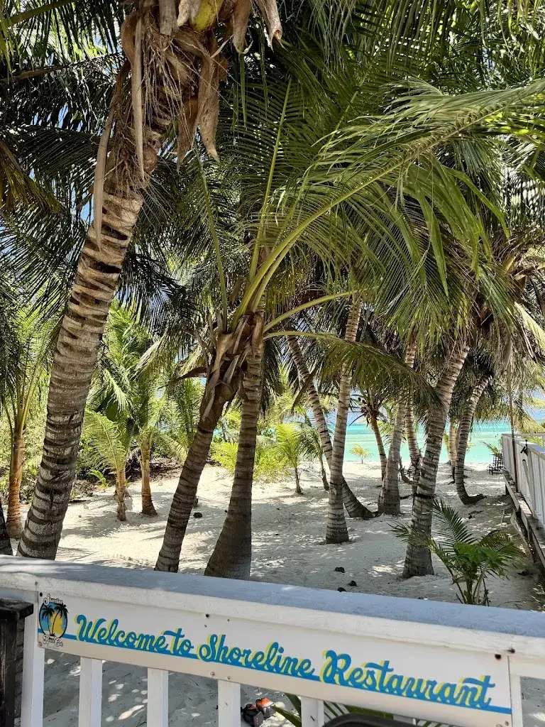 Marco P_Shoreline Beach Resort_Bahamas_avis