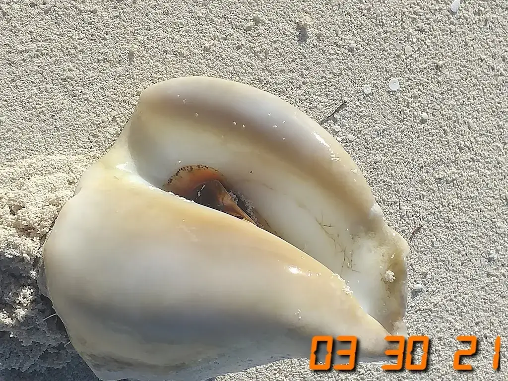 Shoreline Beach Resort_Bahamas_slider_image_3