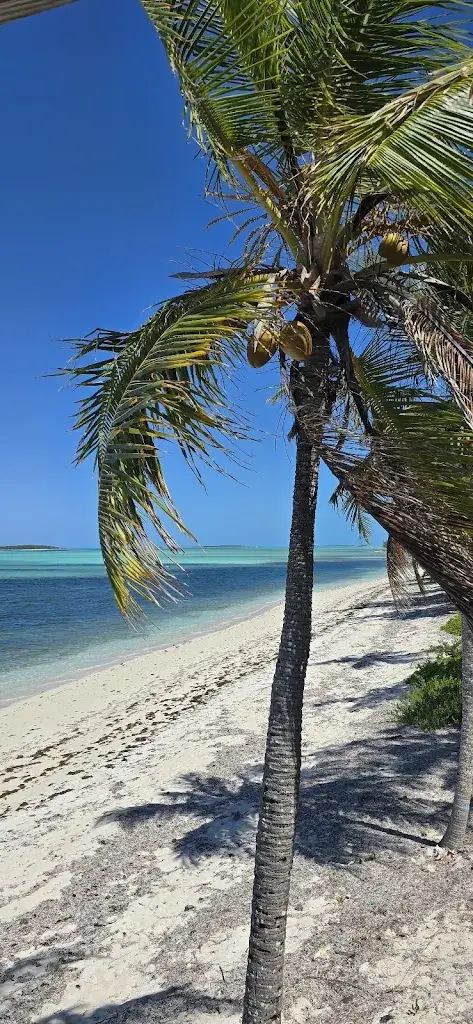 jeana clayton_Exuma Point Beach Resort Restaurant_Bahamas_review