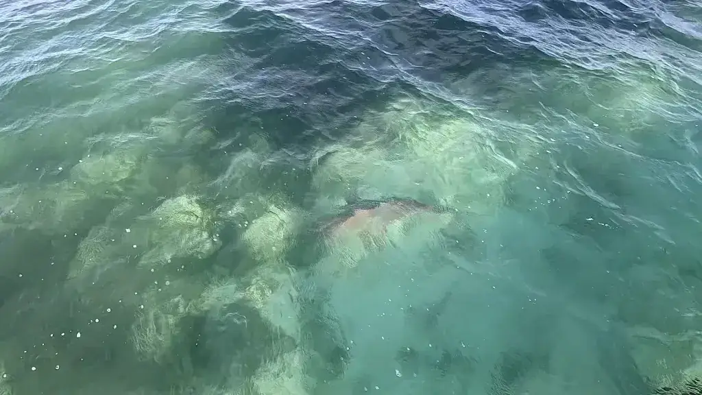 Alyona Rabukhin_Exuma Point Beach Resort Restaurant_Bahamas_review