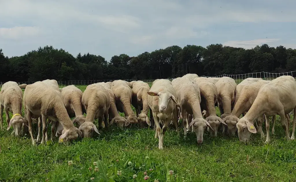 L'Oseraie du Vivier (Osier et Vannerie)_Roncherolles-sur-le-Vivier_slider_image_3