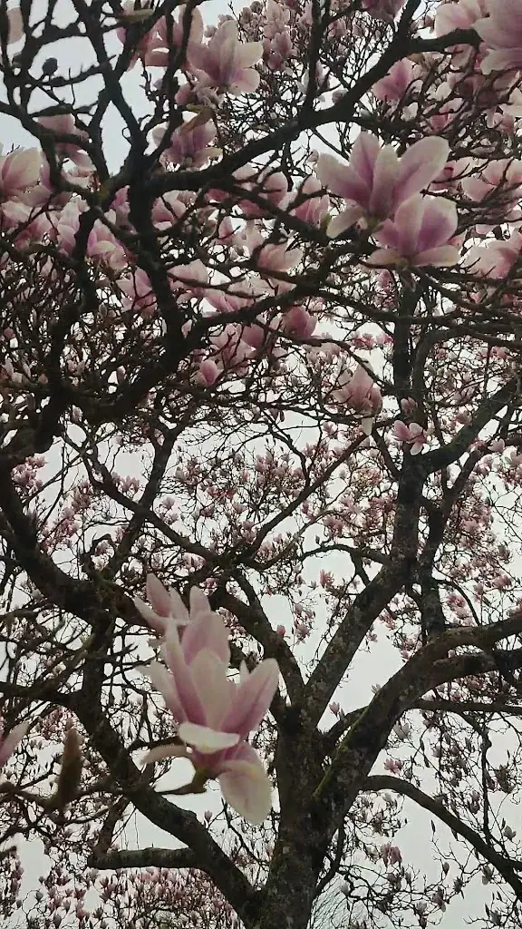 Hôtel - Restaurant Le Lion d'Or_Saint-Hilaire-du-Harcouët_slider_image_2