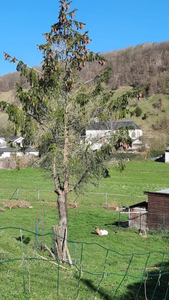 Saint leger du bourg denis_Saint-Léger-du-Bourg-Denis_slider_image_1