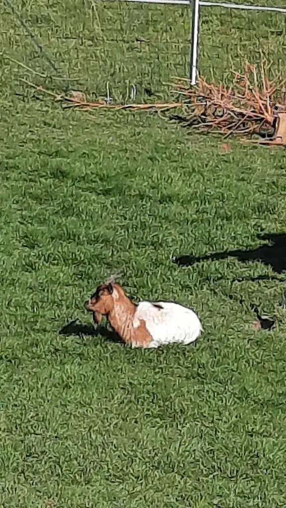 Saint leger du bourg denis_Saint-Léger-du-Bourg-Denis_slider_image_2