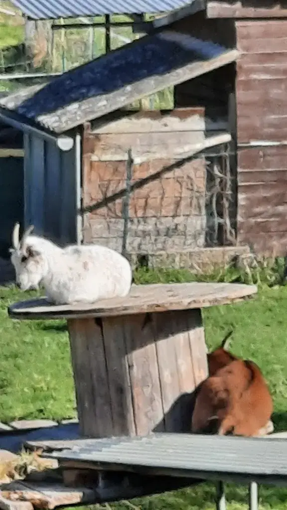 Saint leger du bourg denis_Saint-Léger-du-Bourg-Denis_slider_image_3