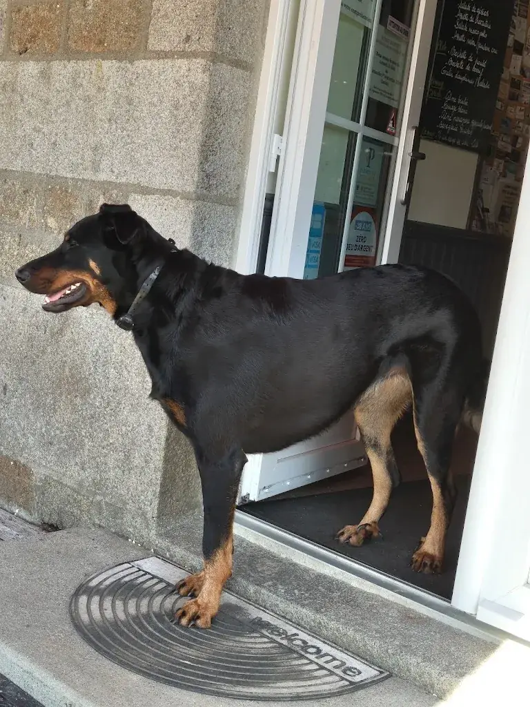 René Vleugel_saint manvieu du bocage_14380_review