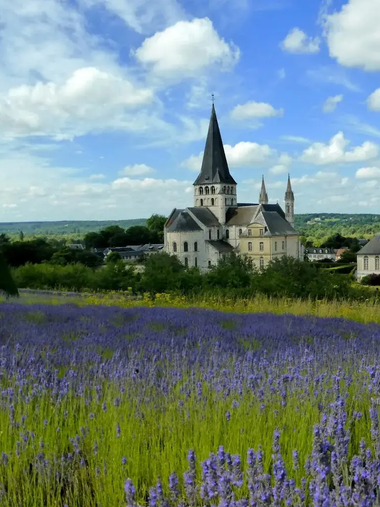 Chris Pedley_Saint Georges de Boscherville Abbey_Saint-Martin-de-Boscherville_review