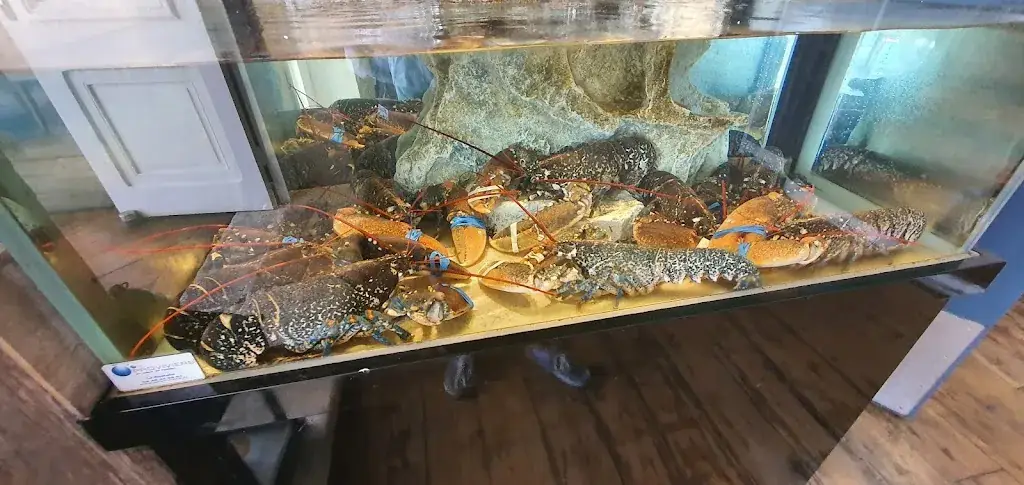 Menu_La Baleine Bleue_Saint-Martin-de-Ré_image_7