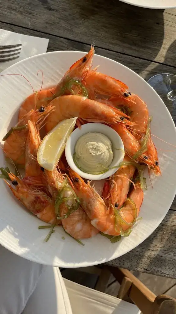 Digital Sekta_La Baleine Bleue_Saint-Martin-de-Ré_review