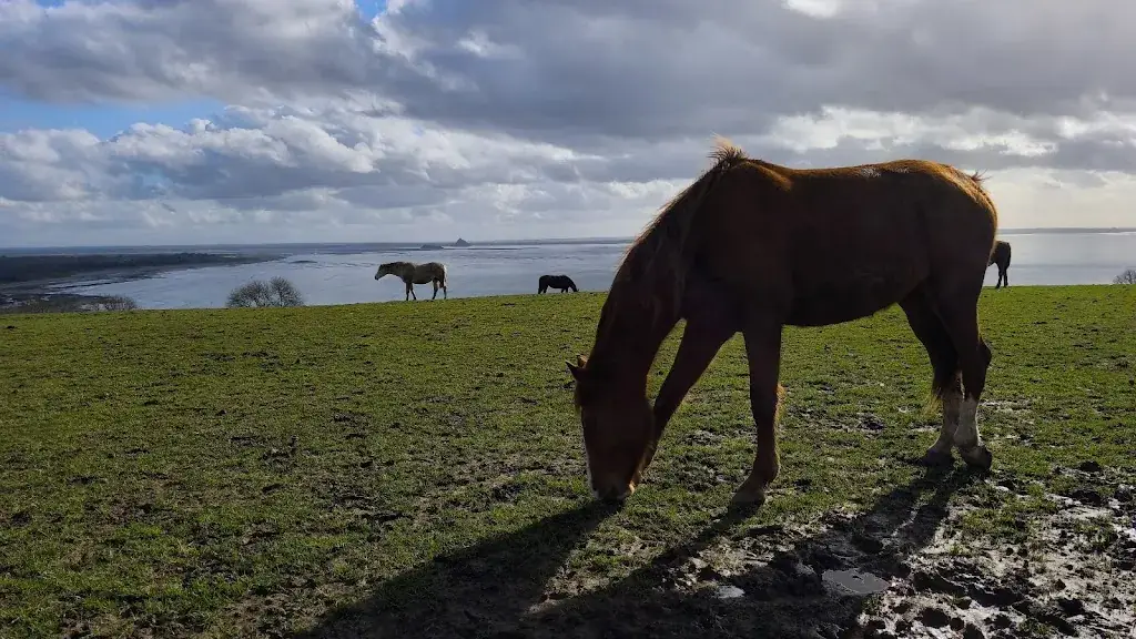 Au Grenier - Bar Restaurant Epicerie_Dragey-Ronthon_slider_image_3