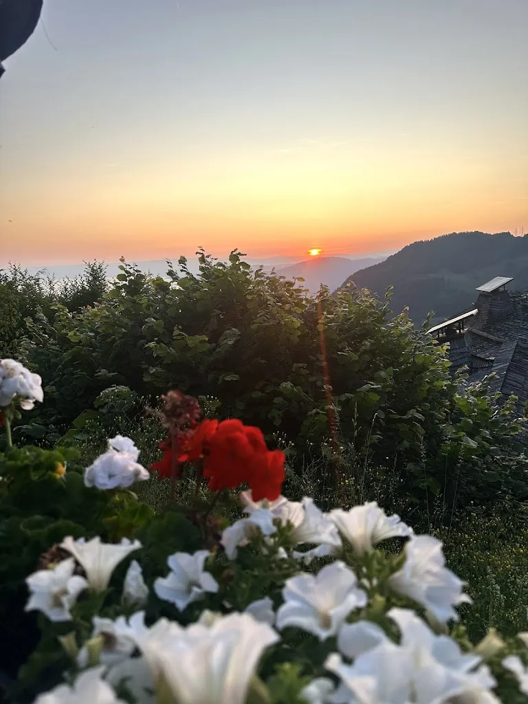 Elif Neslihan DOGAN_Le Coucou Montreux_Montreux_review