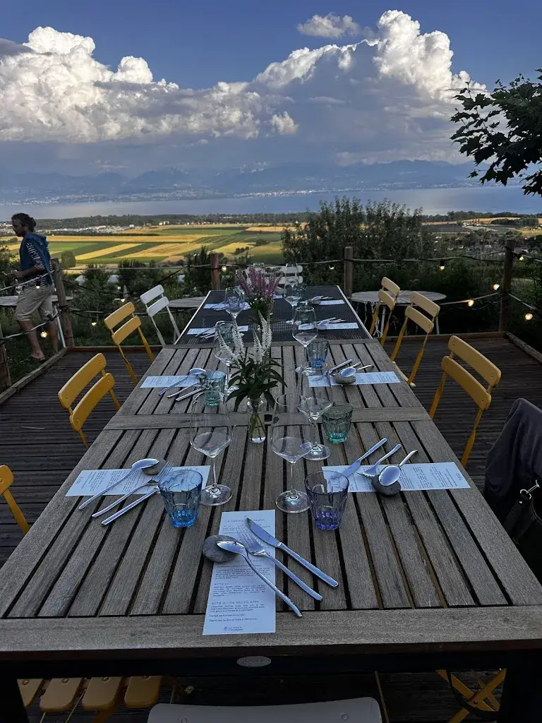 Kathy Locher_Gardens De Chivrageon_Aubonne_review