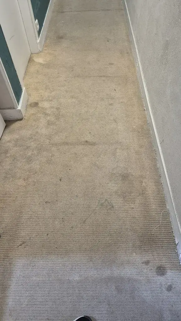 Steve Gould_Logis Hôtel l'Ile de Sées_Macé_review