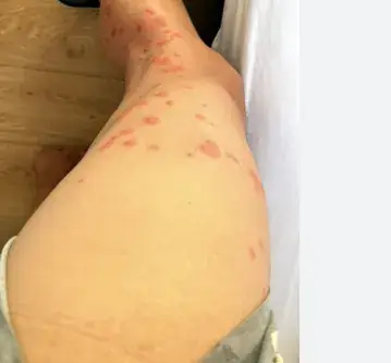 Mahmoud Amm_Logis Hôtel l'Ile de Sées_Macé_review