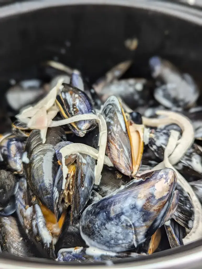 Melanie Stutz_Les P'tits Galets_Veules-les-Roses_review