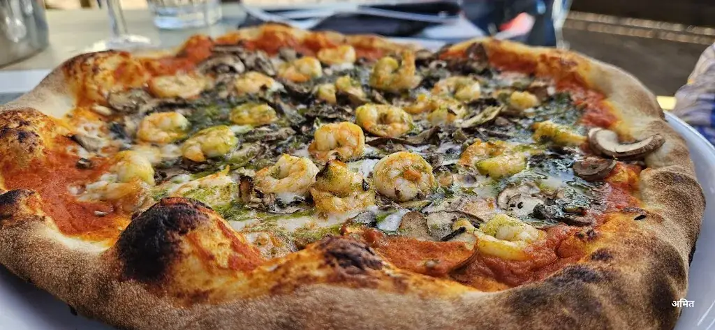 amit yadav_La Pulcinella_Thaon_avis