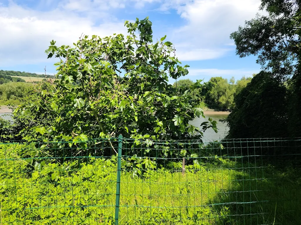 Celi Met_La Terrasse_Tourville-la-Rivière_review