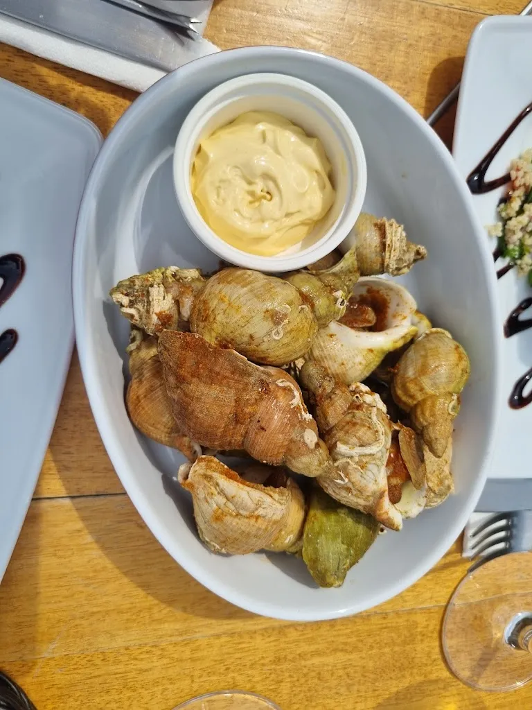 Béatrice ROBERT_Du vent dans les voiles_Touques_review