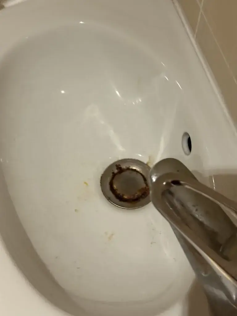 Virginie Coué_Royal Touques Restaurant Asiatique_Touques_review