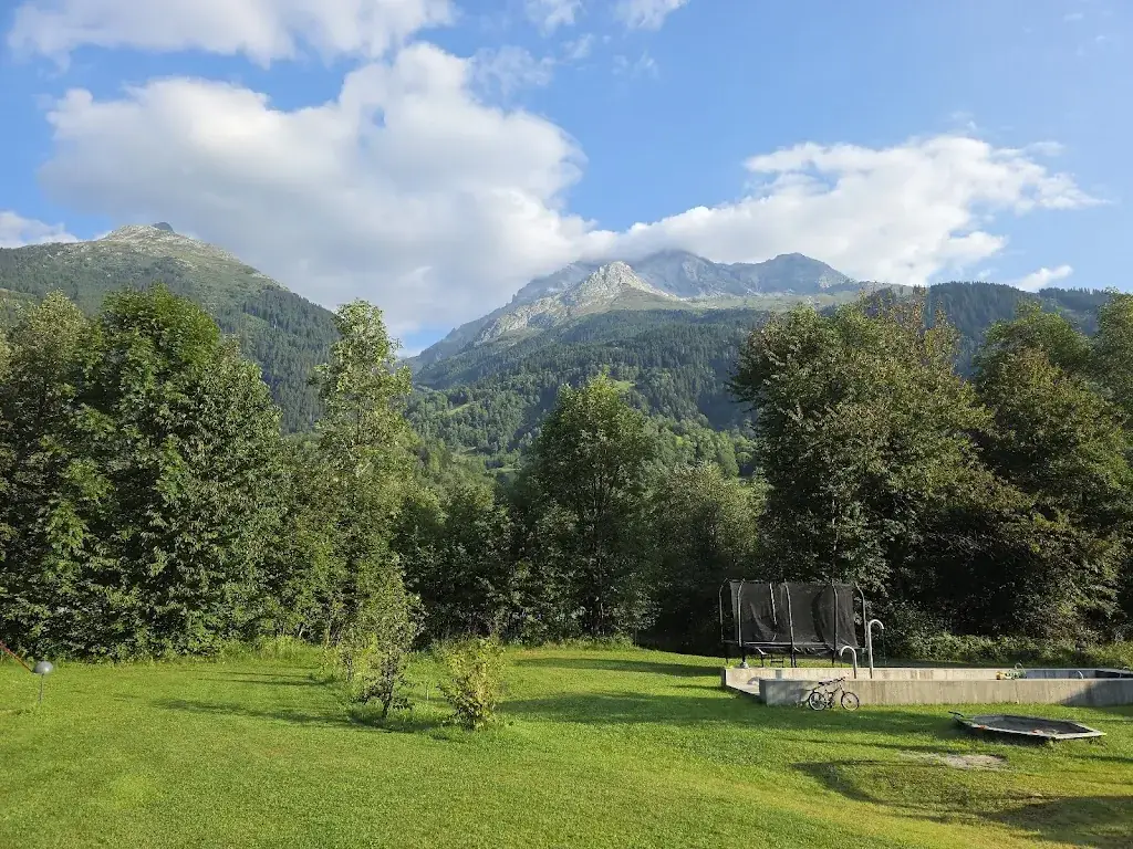 Balint E_Campadi Trun SA_Trun_review