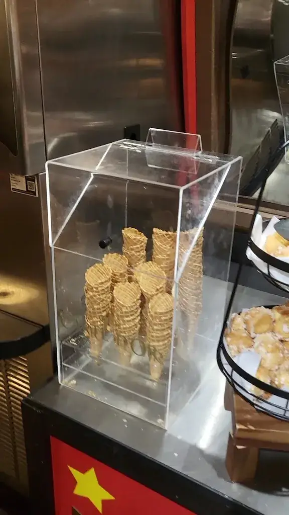 Jungle Circus_d'Iton_slider_image_2