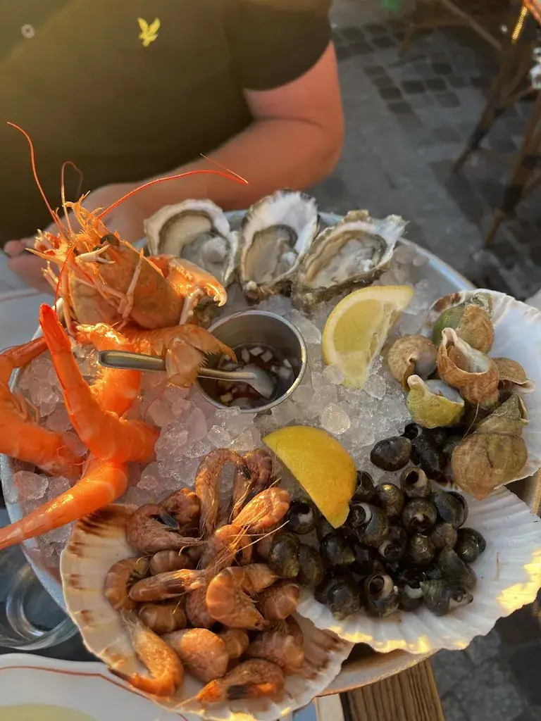 Klara Hasselhuhn_Marinette - Trouville-sur-Mer_Trouville-sur-Mer_review