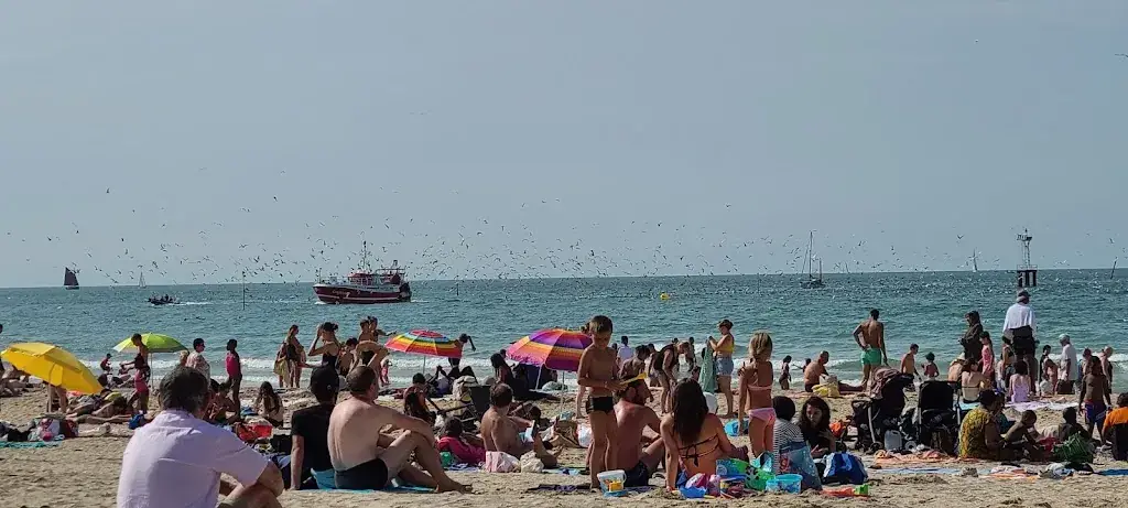 Keith Archer_Hôtel Restaurant Les Embruns_Trouville-sur-Mer_review