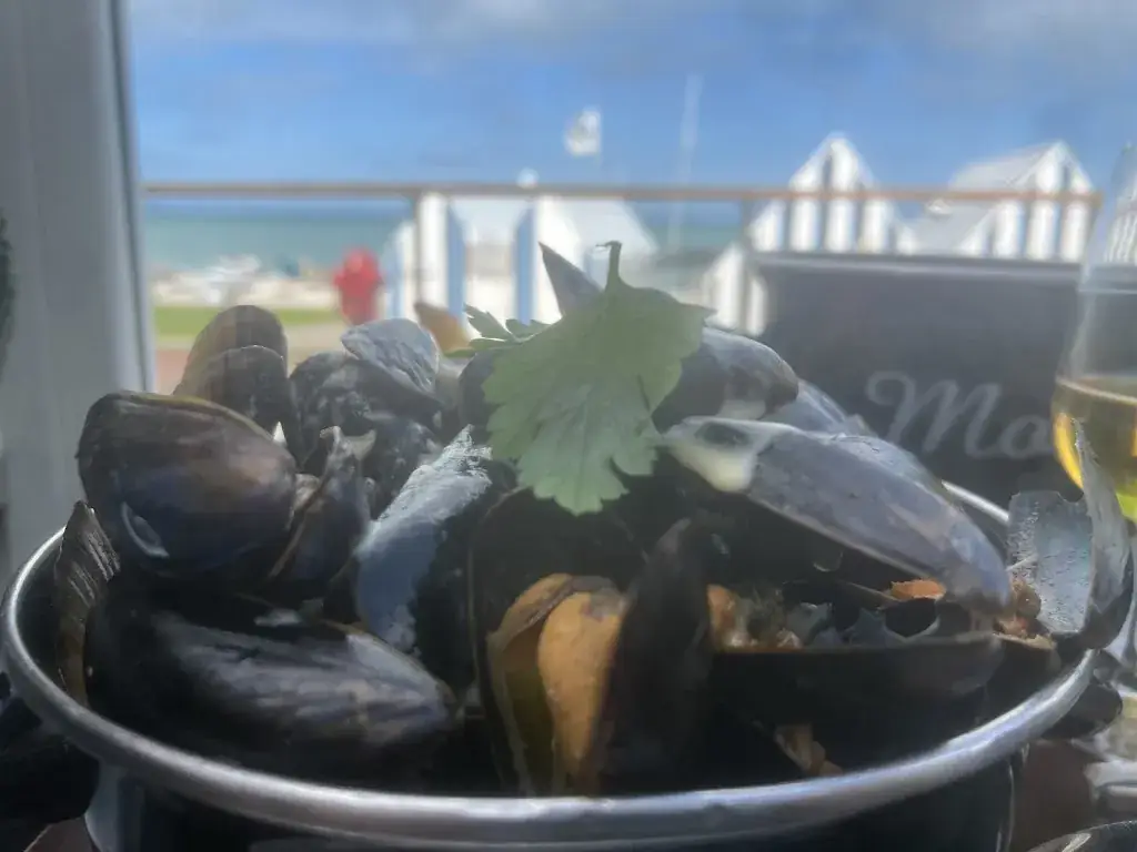 alex Dh_Le Cabestan et sa Plume_Yport_review