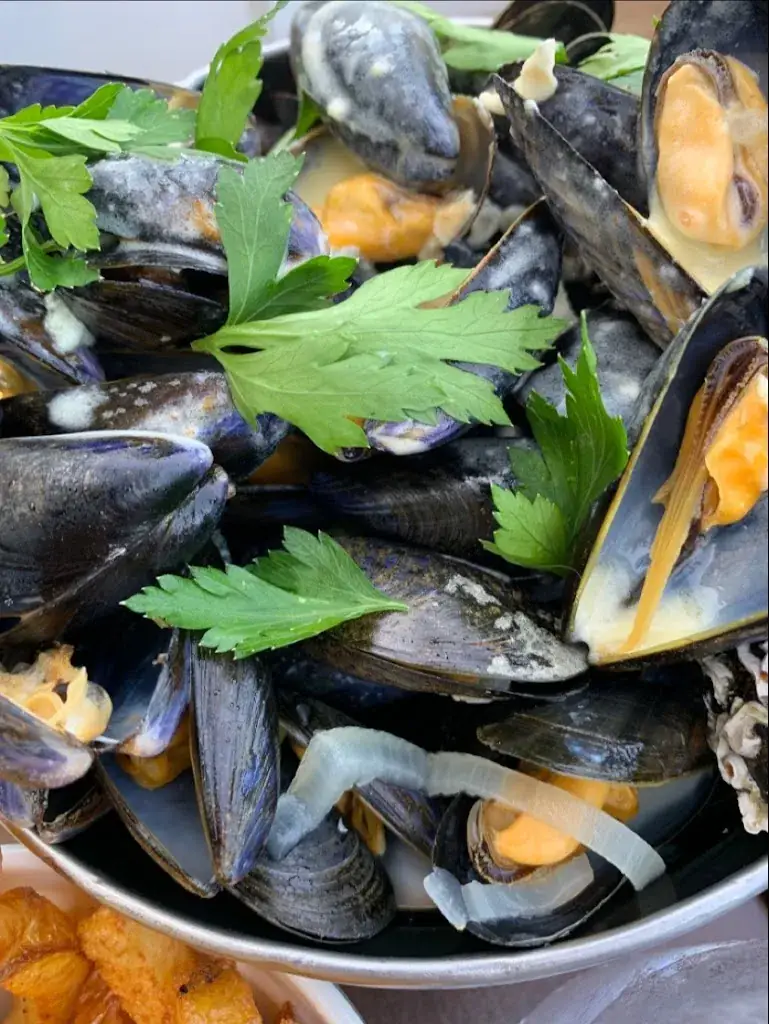 Julia PUJOL_Le Cabestan et sa Plume_Yport_review