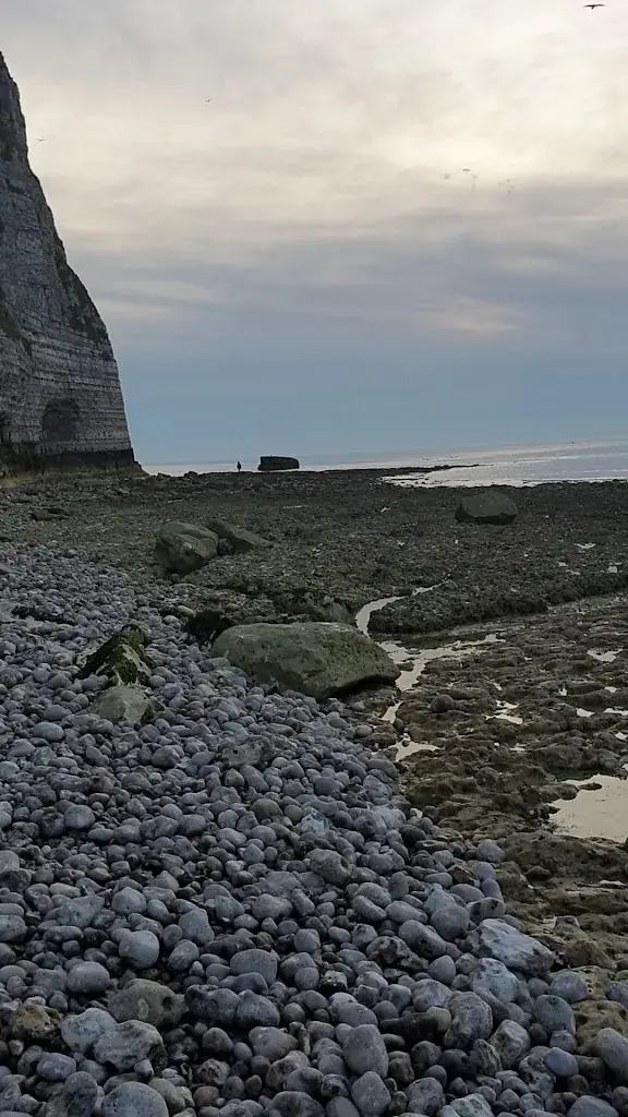 La Sirène_Yport_slider_image_2