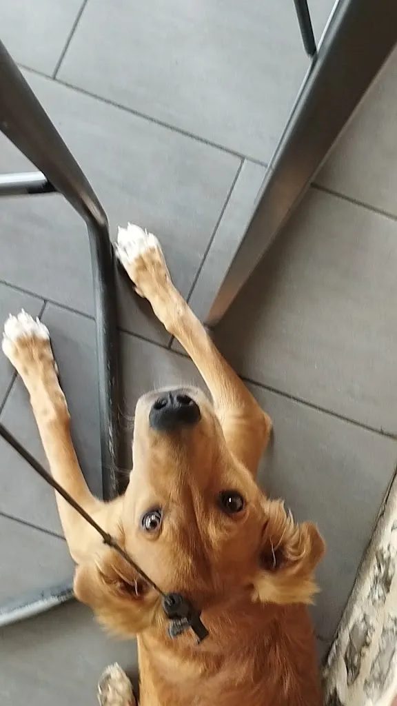 Restaurant le Puits Fleuri_Vattetot-sur-Mer_slider_image_2