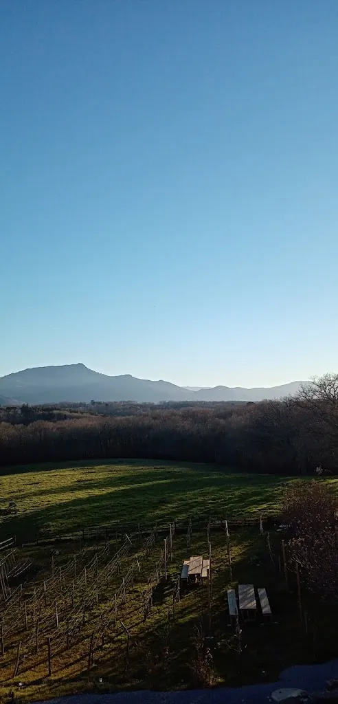 Julie Hunt_Ostalapia_Ahetze_recensione