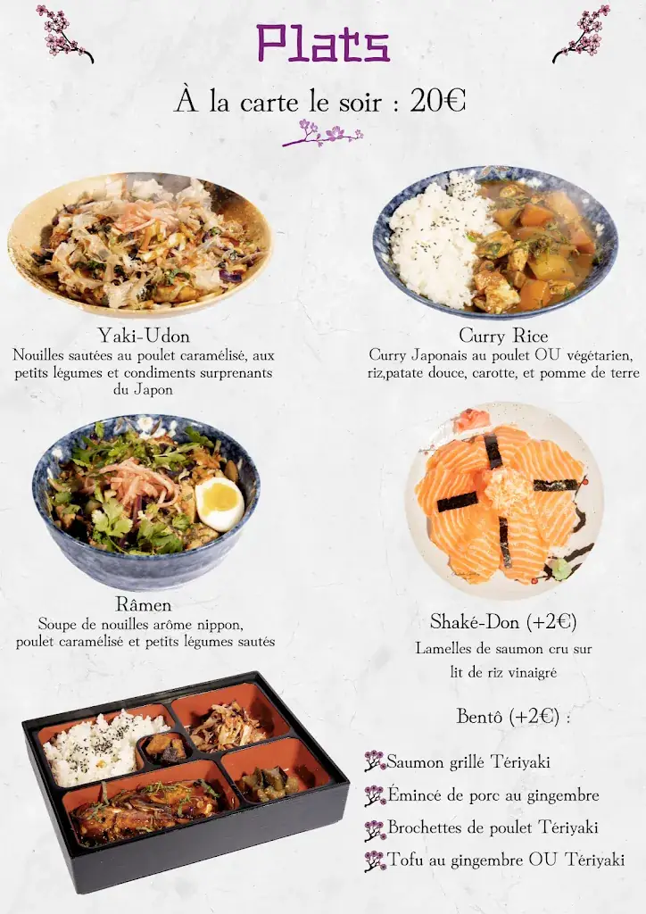Menu_Téo Japon | Restaurant japonais à Agen_Agen_image_4