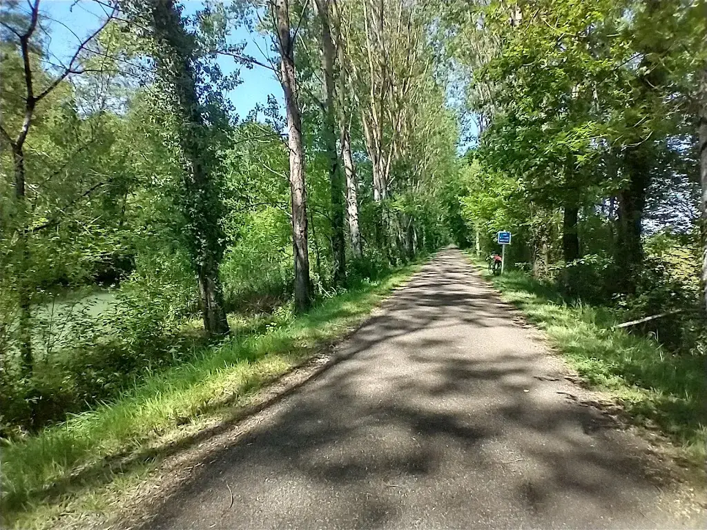 Robert LeTube_Café Rodro_Aiguillon_review