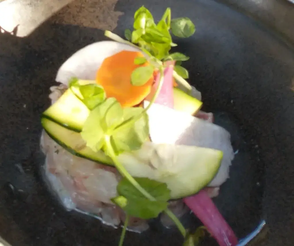 Koen Van Hulle_Hangar_Niort_review