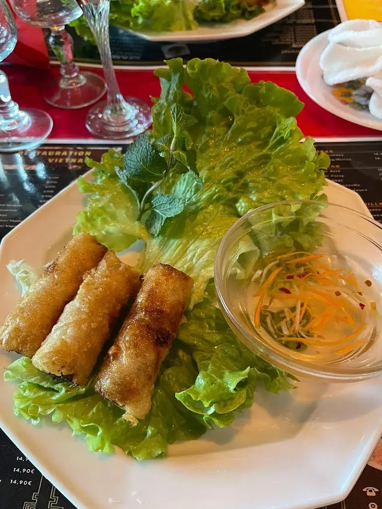 Rick van Helden_Viet Nam_Ambazac_review